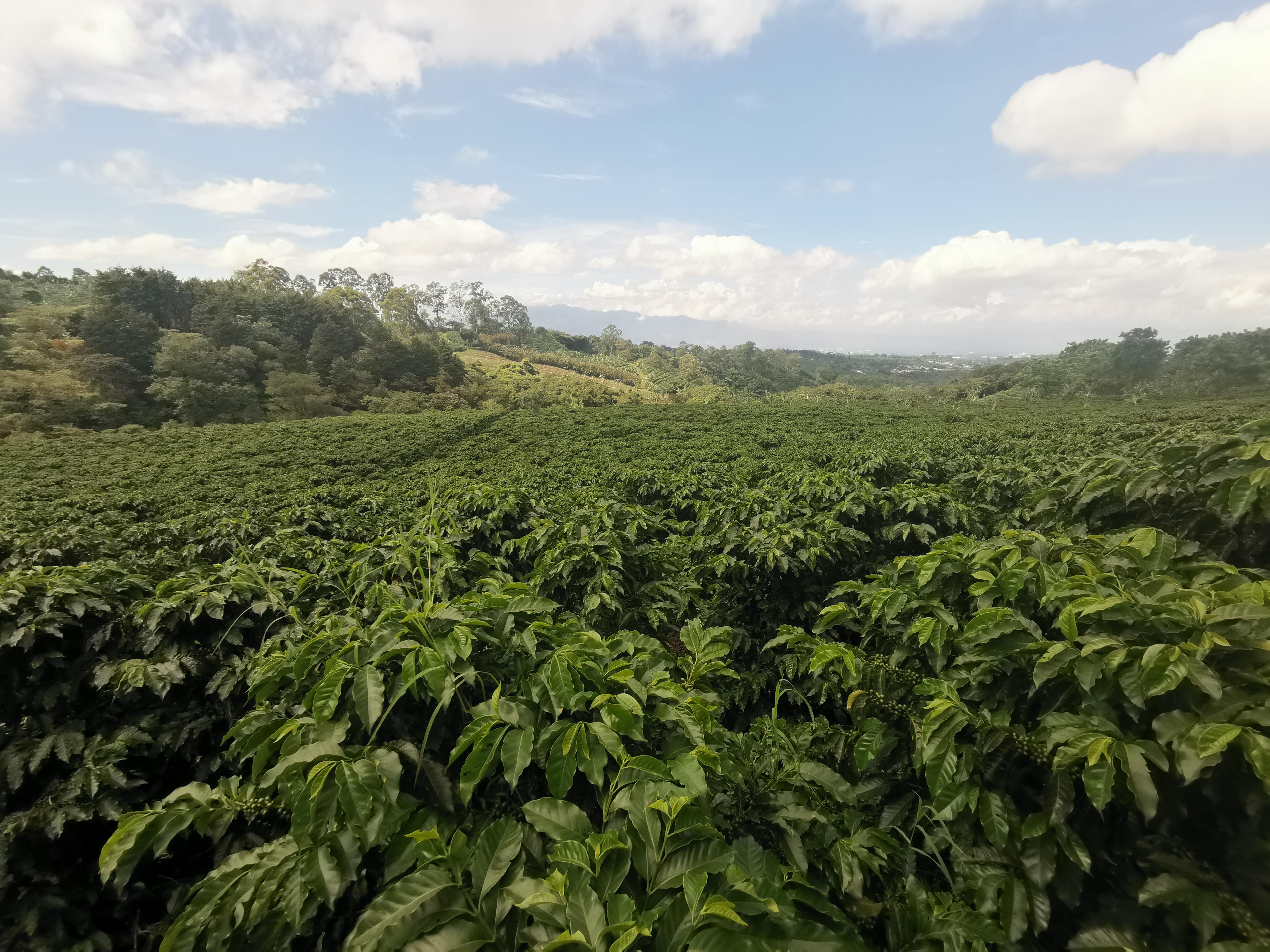 Costa Rica